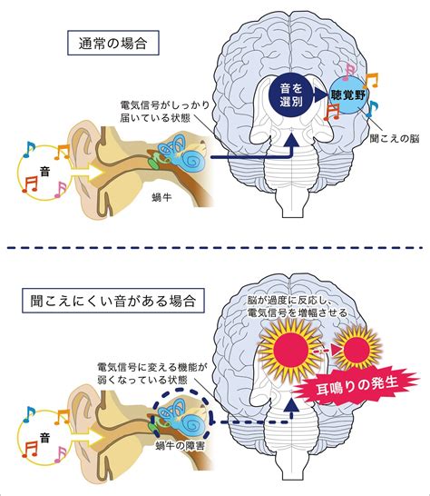 左耳鳴時辰